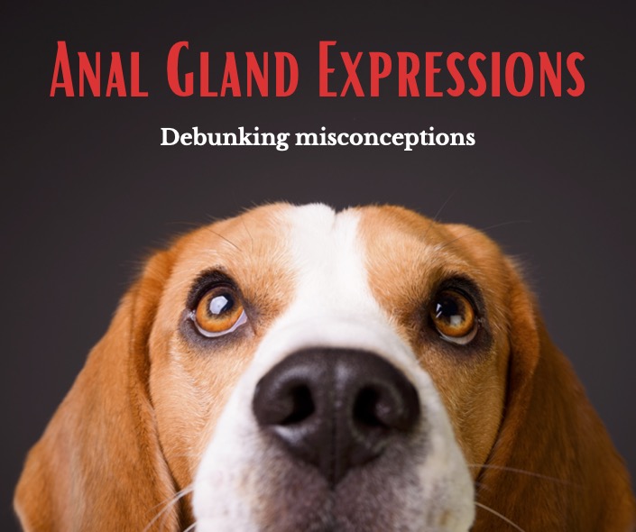 Anal Gland Misconception