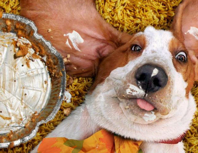 Ensuring Pet Safety: Thanksgiving Tips for Furry Friends